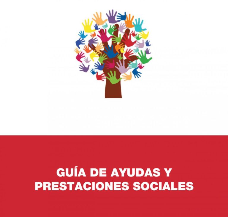 CCOO PV edita una guia amb les ajudes i prestacions socials per a la protecció de les persones