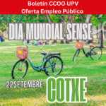 imagen boletín_cotxe