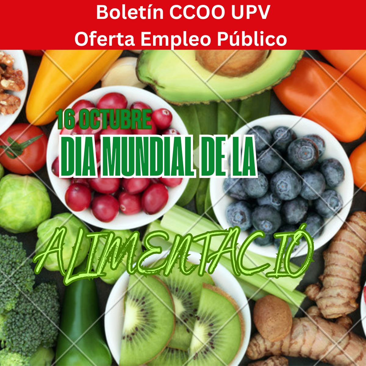 imagen boletin_alimentacion