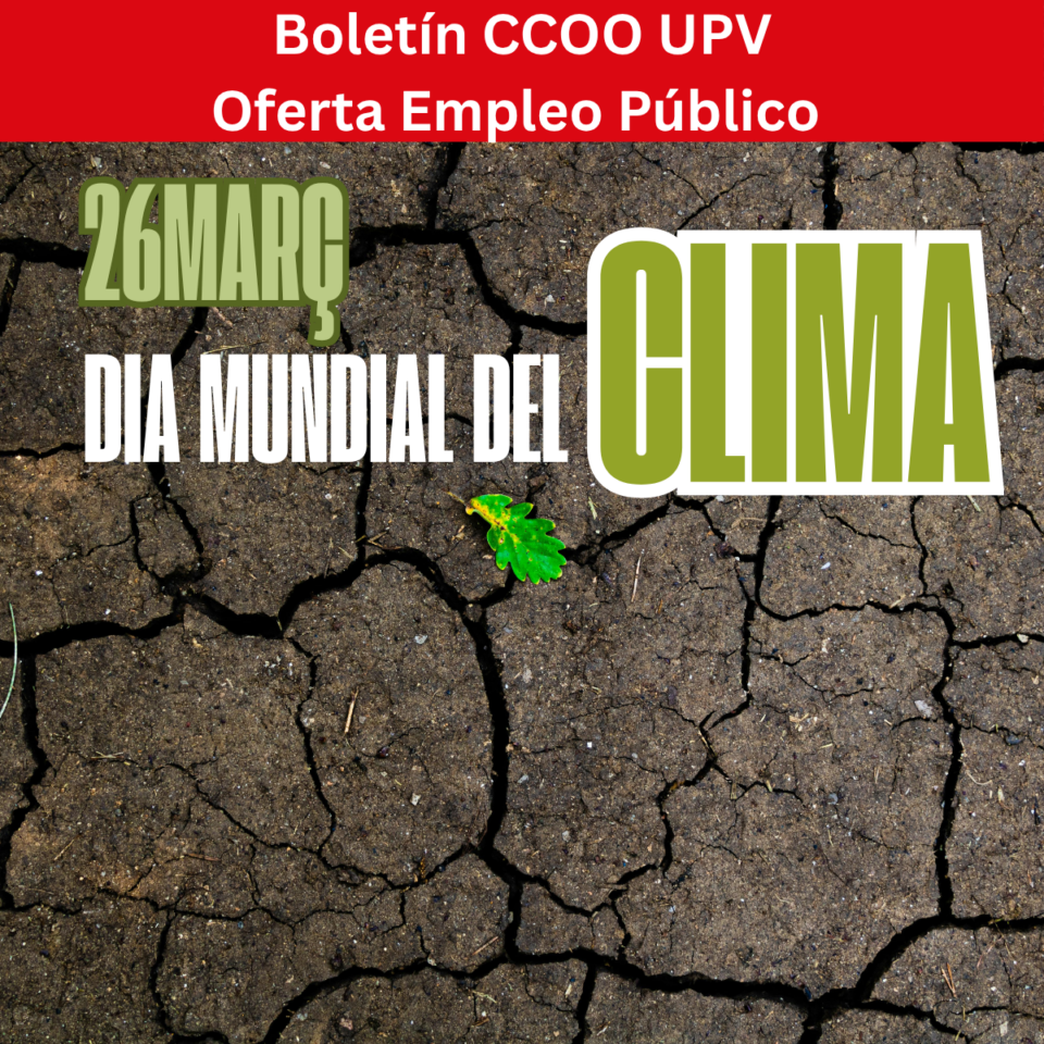 1200x1200boletin27marzo