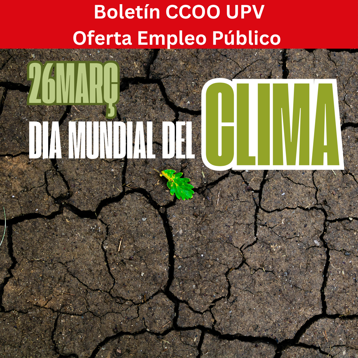 1200x1200boletin27marzo