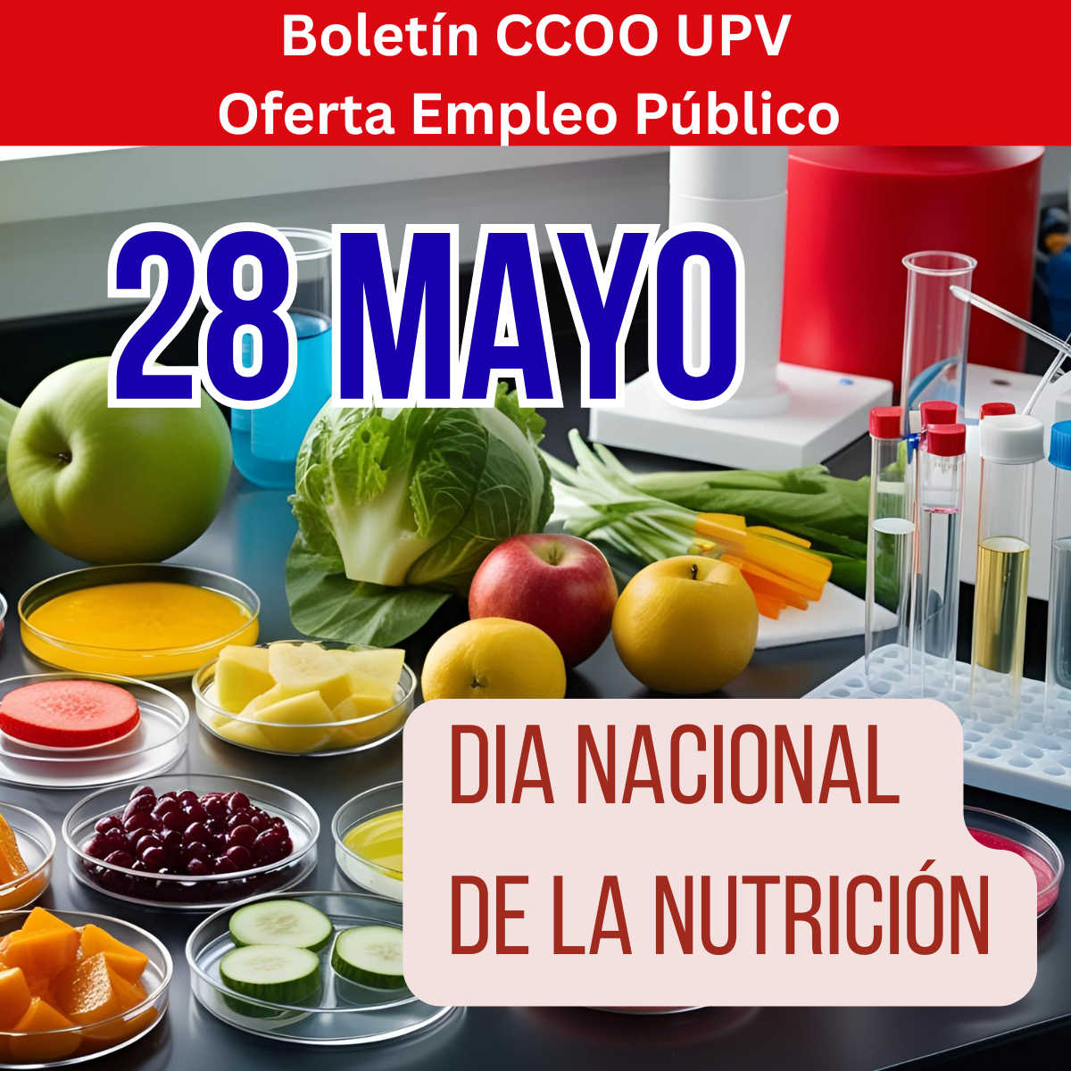 1200x1200boletin29mayo