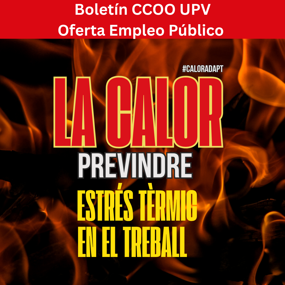 1200x1200imagboletin2026 (30)