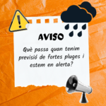 1200x1200IMAG_alertalluvia