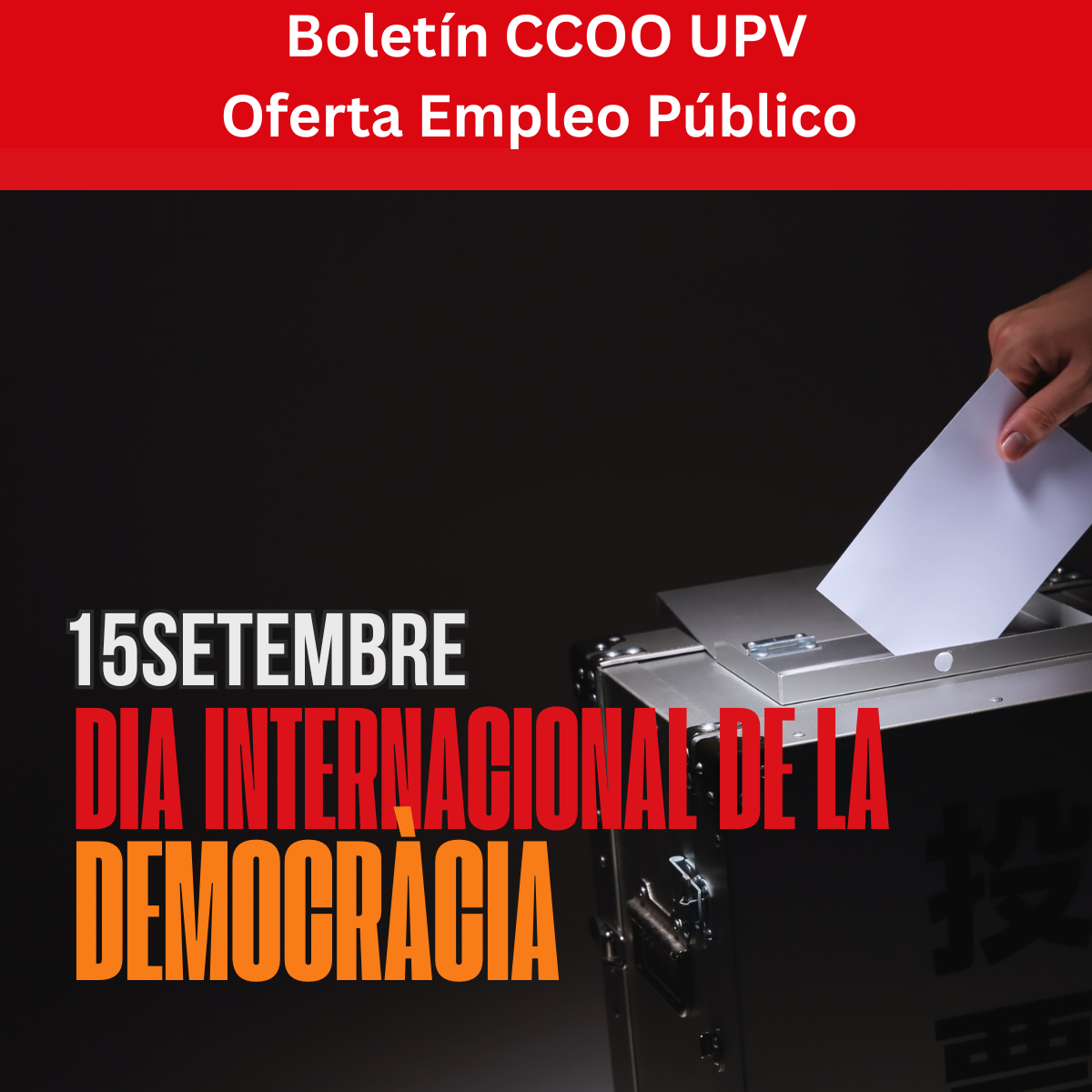 1200x1200imagboletin11sep2026