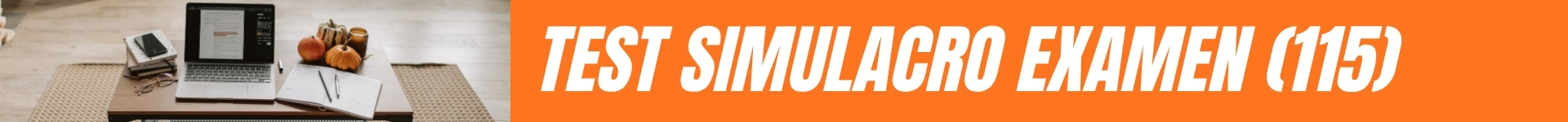 1920x150encabezadossimulacroweb115
