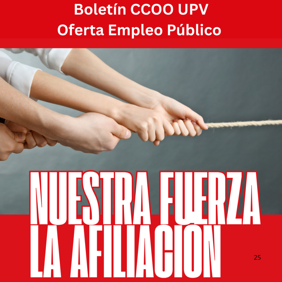 imagenboletin31julio26