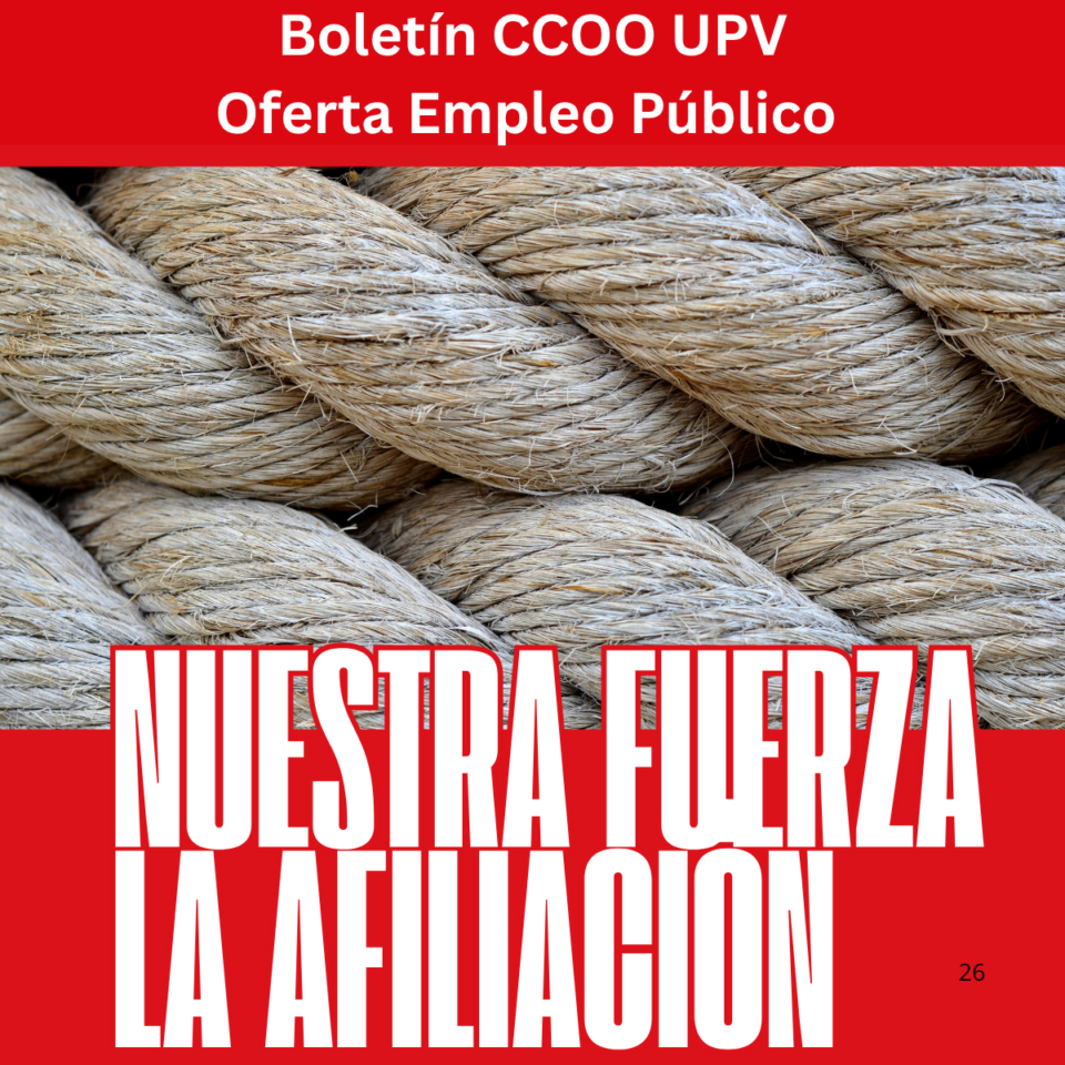imagenboletin14agosto26