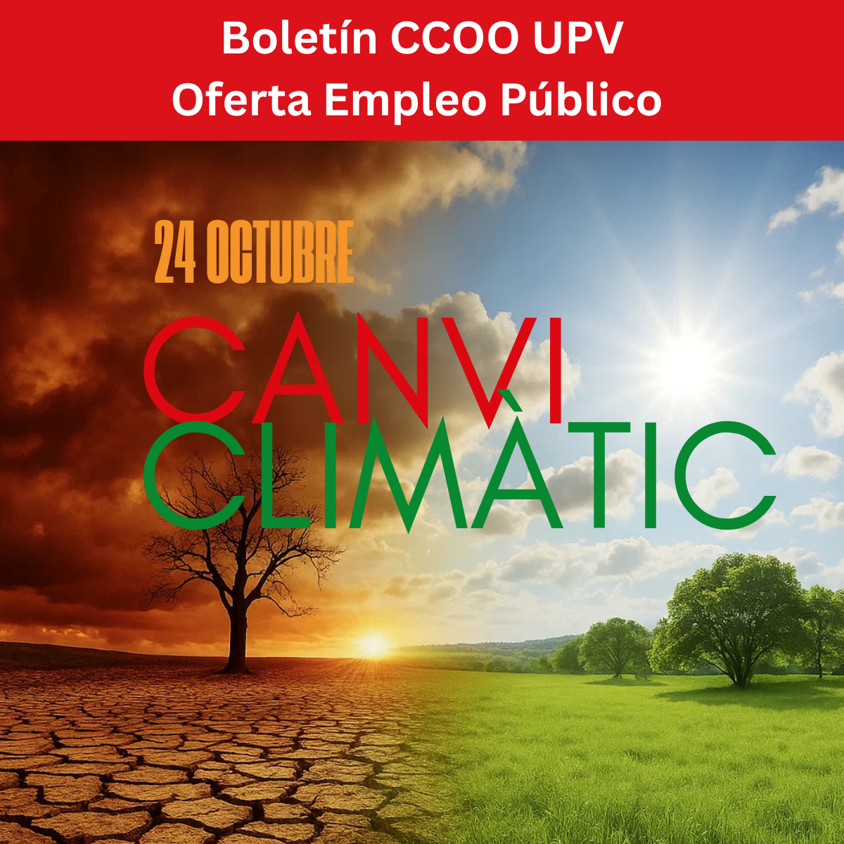 1200x1200imagboletin23oct2026 (12)