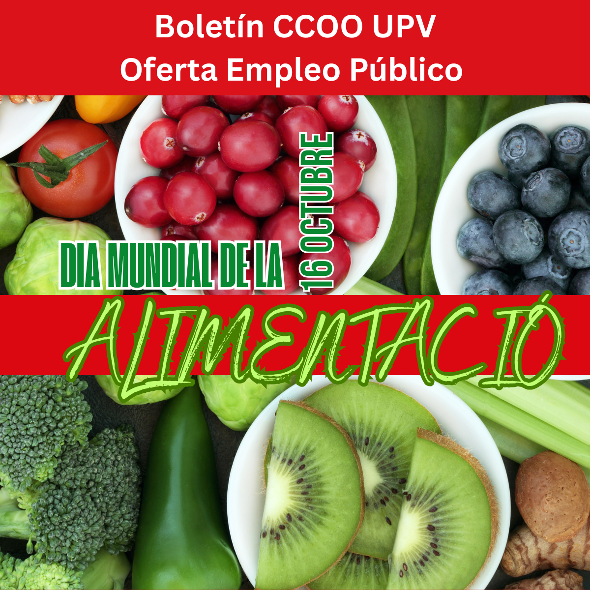 1200x1200imagboletin16oct2026